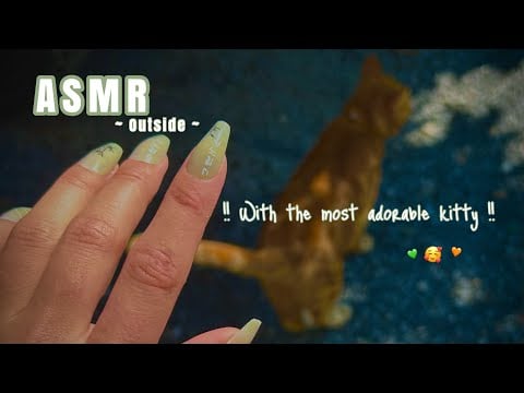 Cat ASMR Outside & Lofi ♡ Long Nails Scratching, Mouth Sounds, Camera Taps...