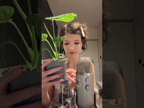 𑣲ASMR || plant tapping 🪴
