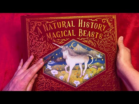 ASMR History of Magical Beasts 🧚‍♀️🦄🧜‍♀️ Book Tracing (Whispered)