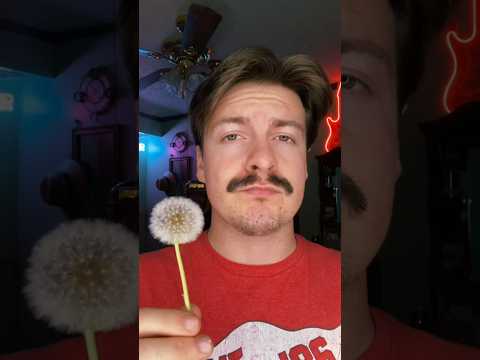 Doing your makeup with nature 1 #asmr #visualasmr #raeasmr #makeupasmr #asmrshorts #makeup #nature