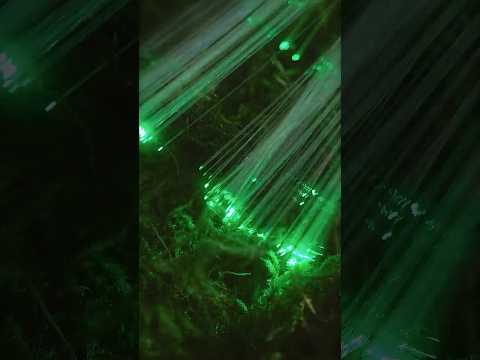 A little collection of GREEN ASMR 🌿