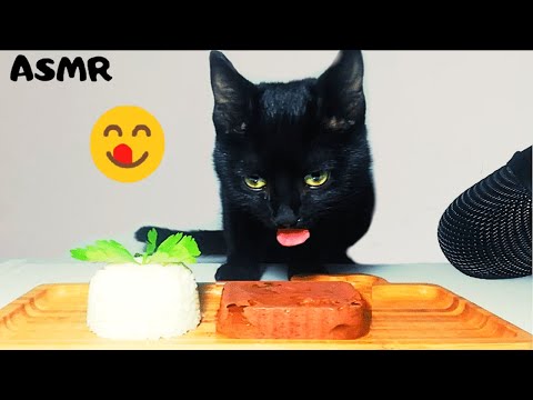 Cat eating Wet cat food & Rice ASMR