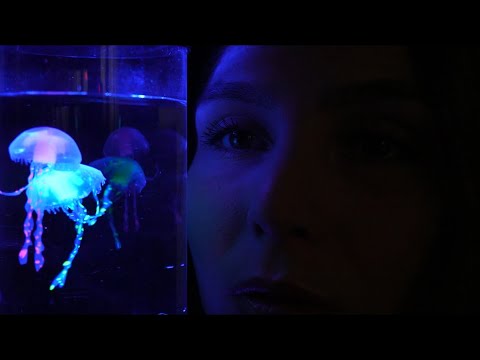 ASMR 🪼🤿 You are now Entering the Ocean (DEEP RELAXATION) Bright Lights