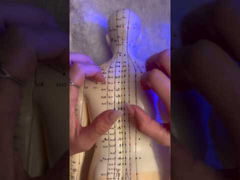 ASMR TAPPINGS NO BONECO DE ACUPUNTURA 😴 #asmr #relax #backmassage #tingles