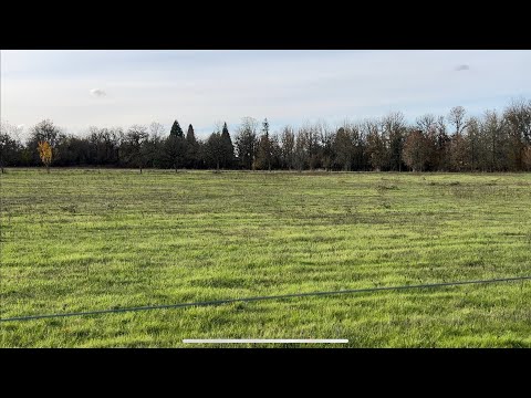 ASMR Fall Nature Walk & Foraging in my Neighborhood with Soft Spoken Babbling