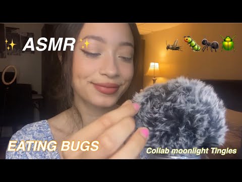 ASMR~ BUG EATING SUPER YUMMY COLLAB @moonlightingles 7k🪲🐛🐜🦗