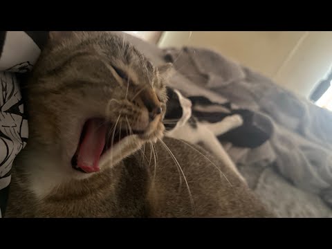 [ ASMR BLOOPER  #1 ]