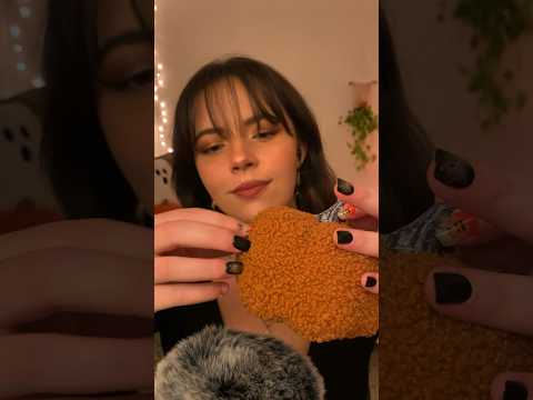 ASMR Pumpkin Patch 🎃 Texture Pumpkins 🎃 #asmr #asmrtapping