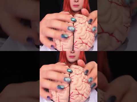 ASMR 🧠 BRAIN TINGLES... Literally! Sleep & Relaxation #asmr #shorts