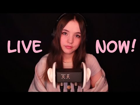 🔴 LIVE ASMR 🩷 ft. Sledgehammer 🩷 [ENG/FIN] 🩷