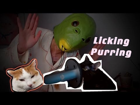 ASMR 貓貓舔耳口腔音+呼嚕呼嚕 Cat’s Ear Licking + Purring