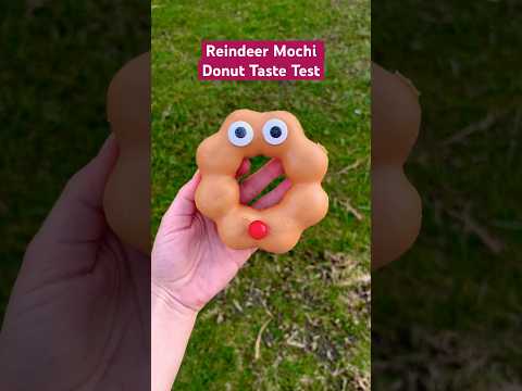 This donut is too cute to eat 🥰 #holidayswithshorts #shortsirl