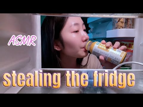 ”KC Sleeping Aid” stealing the fridge 🥠funny and good sleep🌙💤 #acmp #asmr
