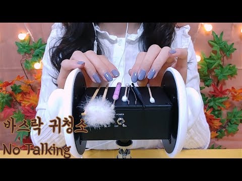 가을엔 바스락 귀청소 fall, intense ear cleaning ASMR 여러가지도구No talking korean