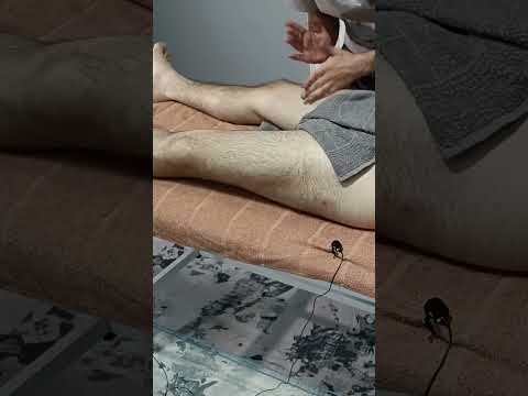 TURKISH MASSAGE THAT RELAXES ALL THE MUSCLES IN THE FORE LEGS #satisfying #relaxing #asmr #shorts