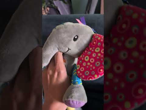 ASMR Crinkles & Stuff #asmr #asmrsounds #asmrvideo #asmrcrispy