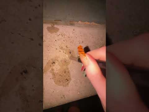 POV dentist ASMR filling in your cavities #ASMR#DentistASMR #POVASMR #LofiASMR