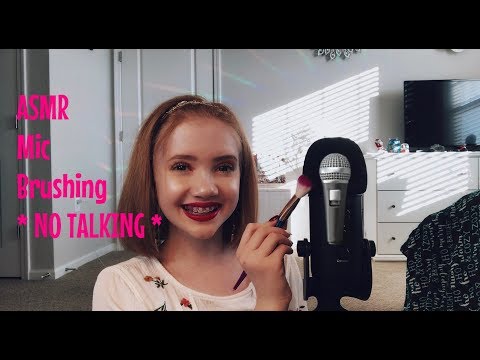 ASMR~ Mic Brushing |  *NO TALKING* 🎤