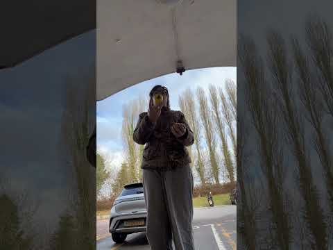 Juggling for 50 days- #juggling