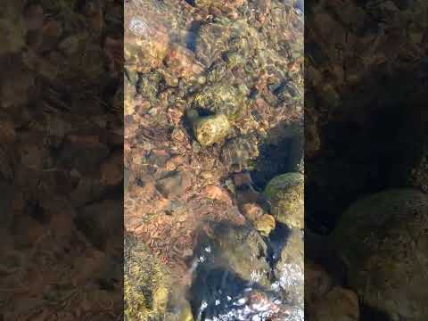 ASMR Beautiful Lake Sounds #relax #visualtingle #asmr