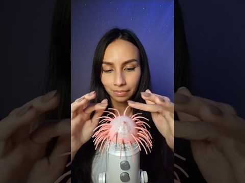 ASMR con squishy