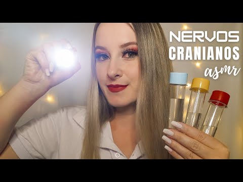 ASMR | EXAME DOS NERVOS CRANIANOS MEGA RELAXANTE | Música de fundo para acalmar | Roleplay Médico