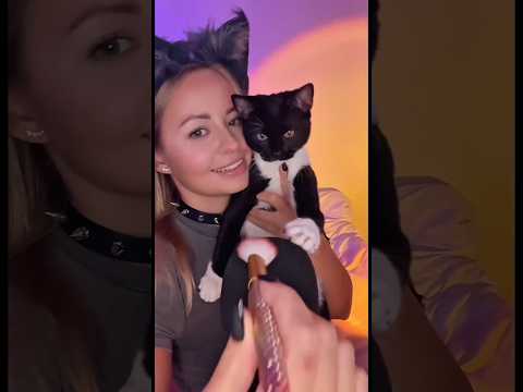 My baby :333  asmr #asmr #kitten #cat