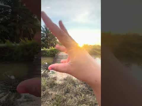Ngambil matahari #asmrvideo #asmr