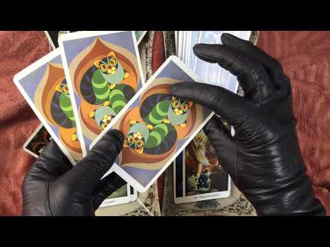 LEATHER GLOVES  ✋  TAROT CAT PEOPLE 🐈   [[ASMR]]