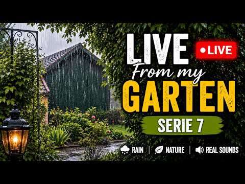 🔴 LIVE Heavy Rain from My Garden – Series #7 🌧️ Real Rain Sounds for Sleep, Relaxation & Study