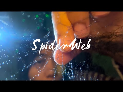 ASMR SpiderWeb Make You Fall Asleep Fast💤🕸️🕷️