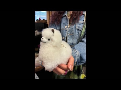 ASMR for if you’re a fluffy alpaca