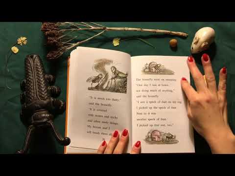 ASMR Reading a Bedtime Story