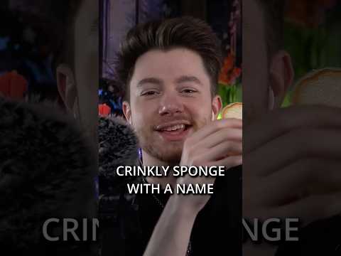 ASMR | Give This Sponge A Name