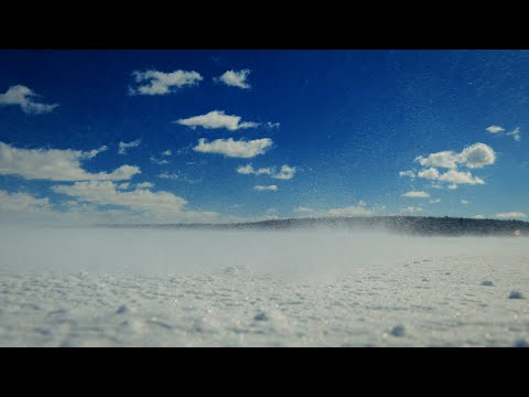 Wind Sounds for Sleep (Winter Ambience)