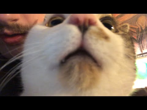 ASMR Sharp or Dull w/Special Guest 2 Minute Roleplay