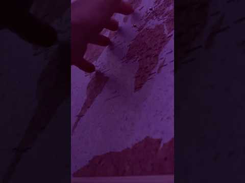 ASMR Build up Scratching and Tracing #asmr #relax #visualtingle #tingles #lofiasmr