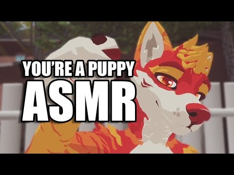 You’re a puppy but it’s ASMR 🐕 (whispers, brushing, petting and more)