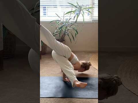 Yoga yoga #ForYou #TrendingNow #InstaReels #ViralVideo #DailyShorts #Entertainment #FYP  #yoga