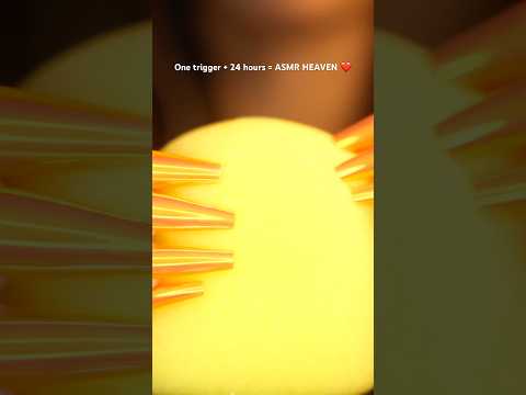 One trigger + 24 hours = ASMR HEAVEN ❤️
