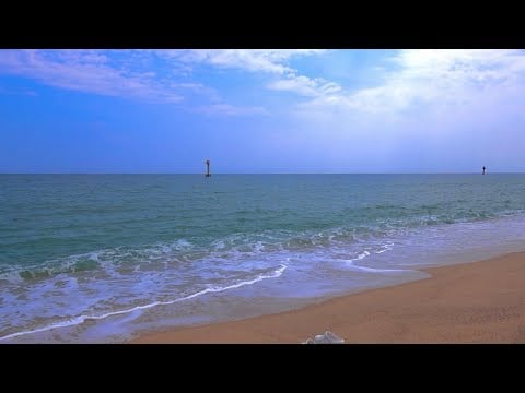 나랑 바다 걸을래?🌊 시원한 여름 파도소리 Ocean Waves