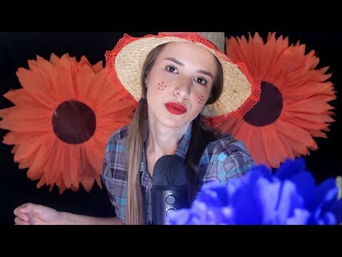 ASMR - ARRAIÁ DO SONO