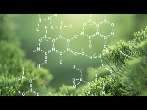 Química orgánica || El dios carbono de las mil formas || Asmr español