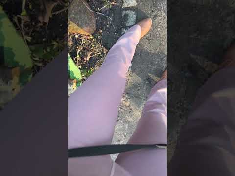 ASMR mit Yogahose im Garten beim Blumen pflücken! 😜