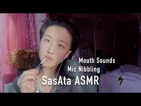 SasAta ASMR | Mic Nibbling
