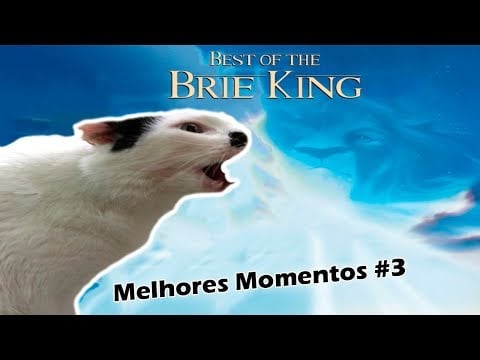 MELHORES MOMENTOS STREAM #3