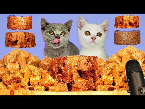 ASMR MUKBANG - CUTE CATS EATING FOOD COMPILATION