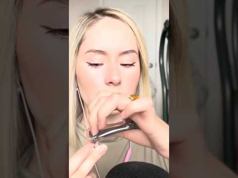 Tapping on a Tiny Dog #asmr #tapping #fyp #tingles