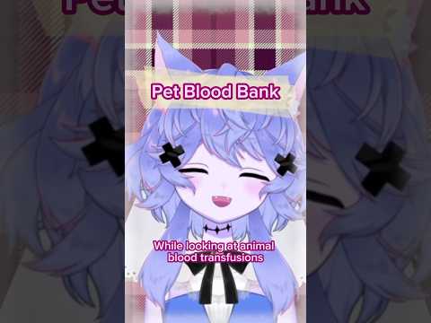 Pet Blood Bank: I didn’t know pets had these too!