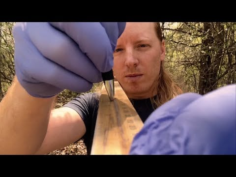 ASMR | Your Favorite Triggers Will Force You To Sleep